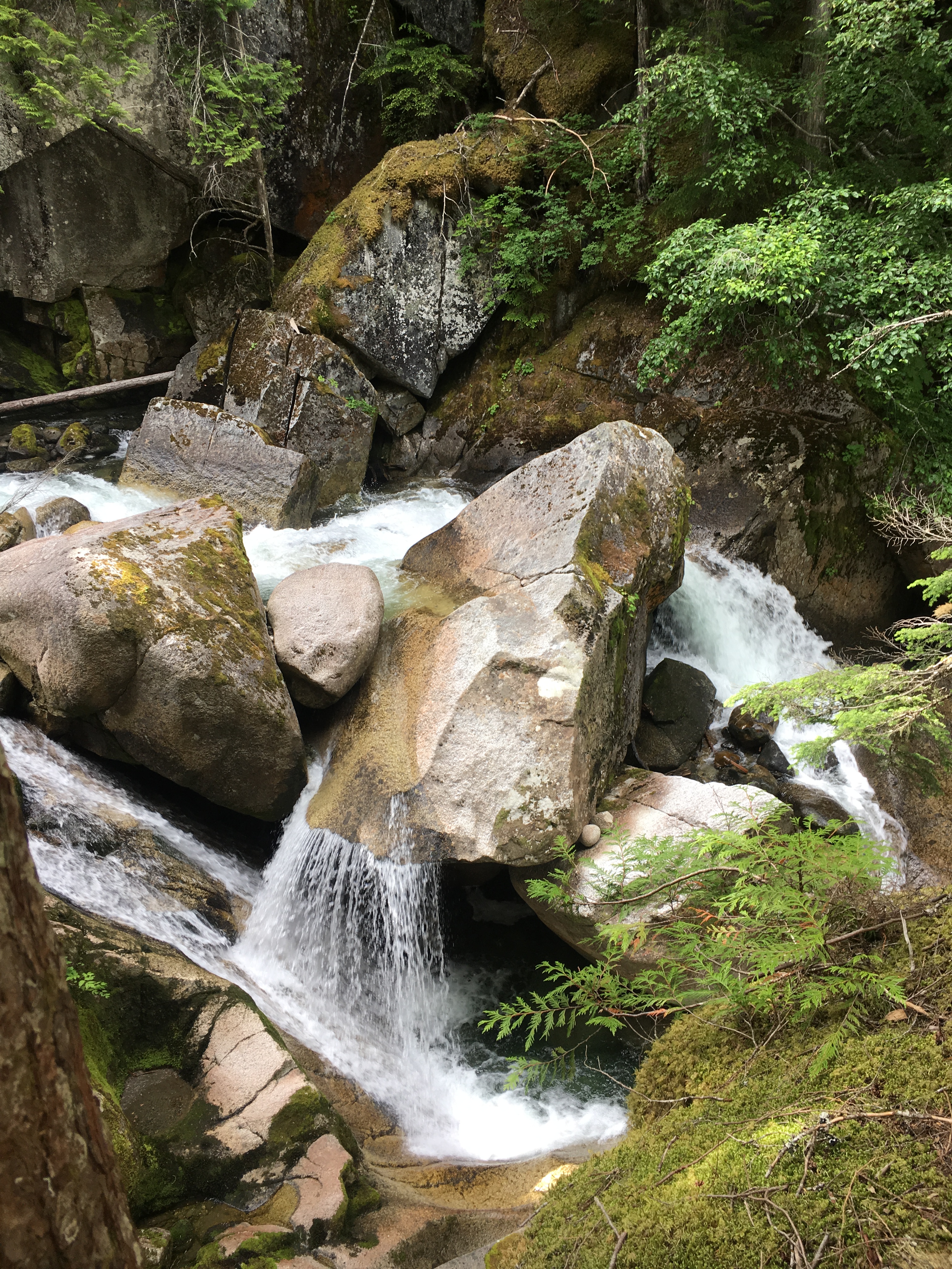 1C258607-AE31-41AF-B698-6C5C1502A294