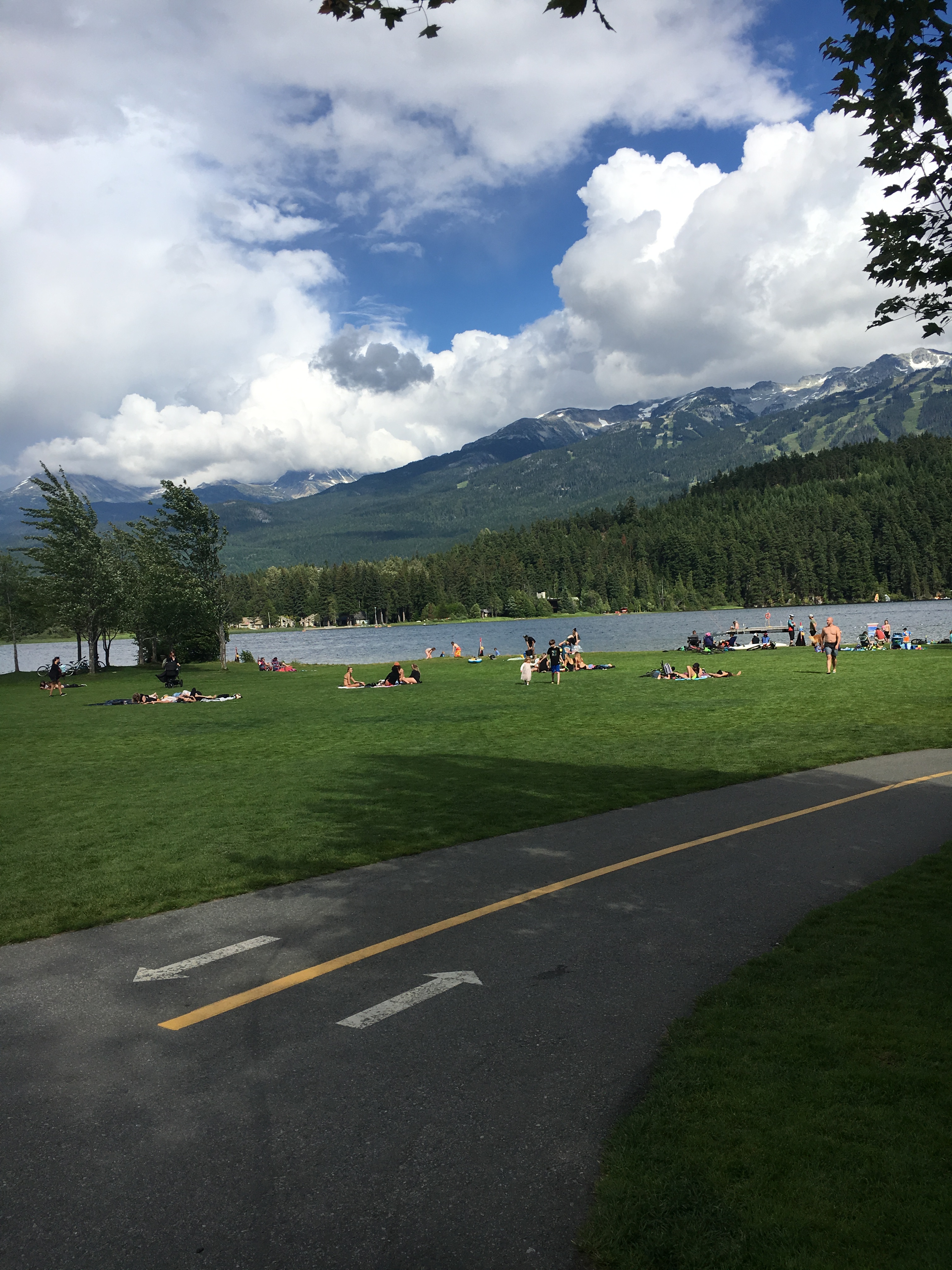 BE95288D-255B-4BFA-BEF3-A94170A86A1D