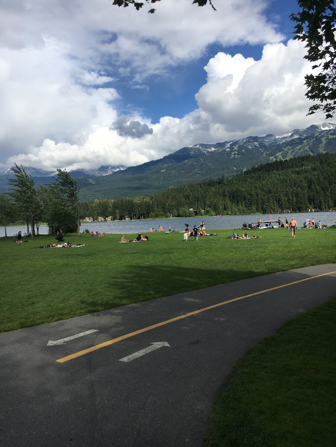 BE95288D-255B-4BFA-BEF3-A94170A86A1D