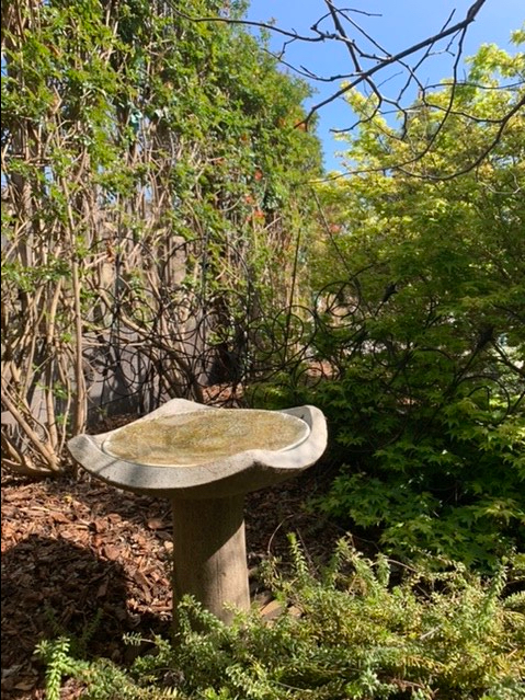 425A4C6E-ECD6-4EA1-ABC7-348C611B6672